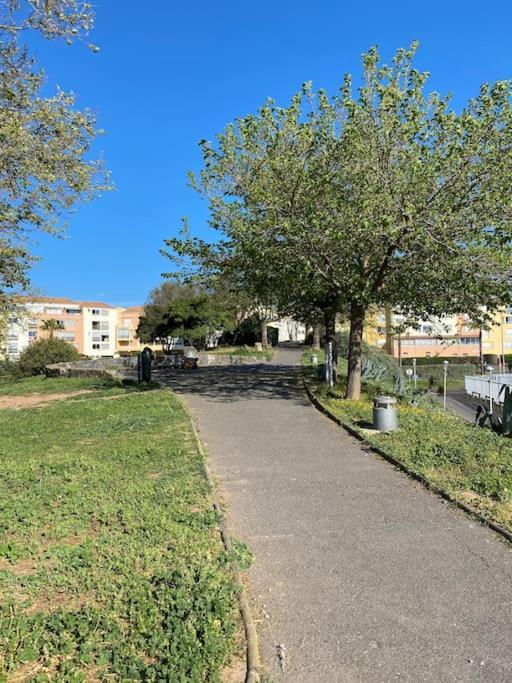 Apartment Le Pharo Avec Piscine Agde